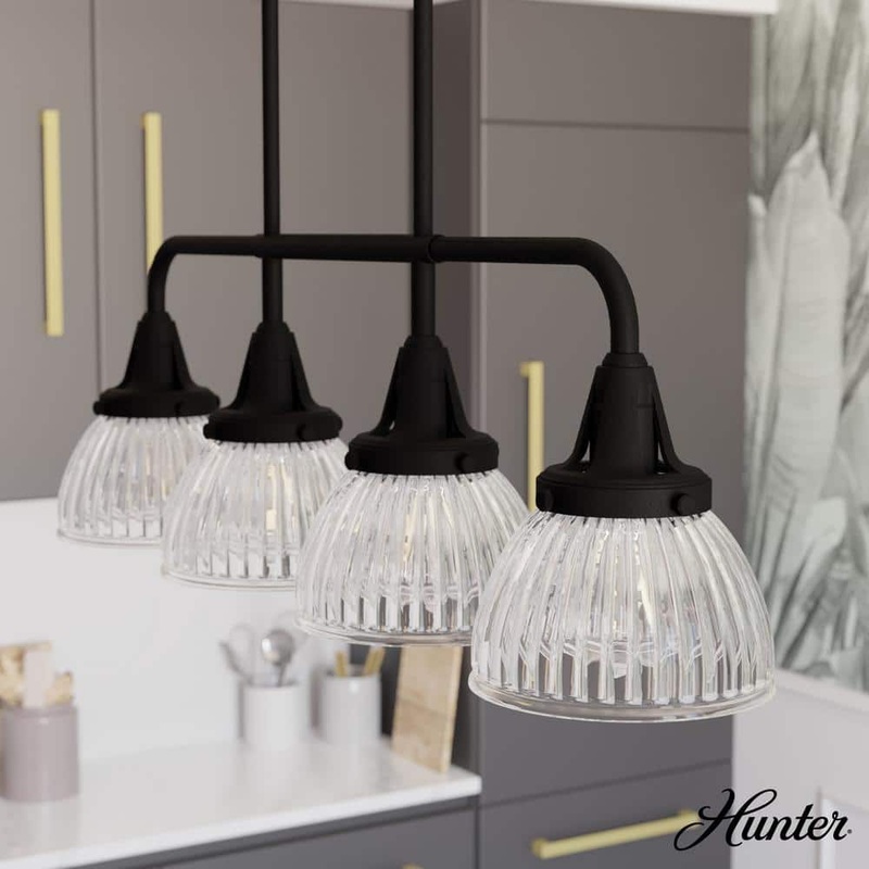 Hunter Cypress Grove 4 Light Natural Iron Billiard Chandelier with Clear Holophane Glass Shades Kitchen Light
