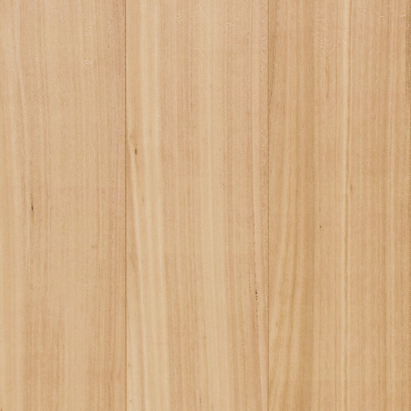 Blackbutt 8mm Laminate (LP-8BB)