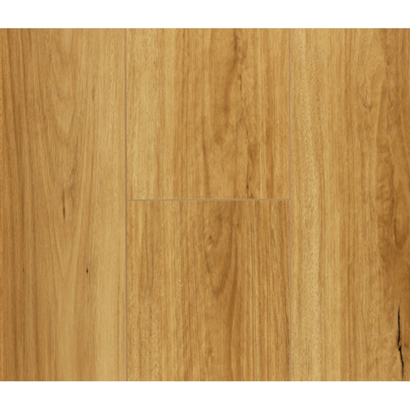 Coastal Blackbutt 12mm Laminate (LFT702)