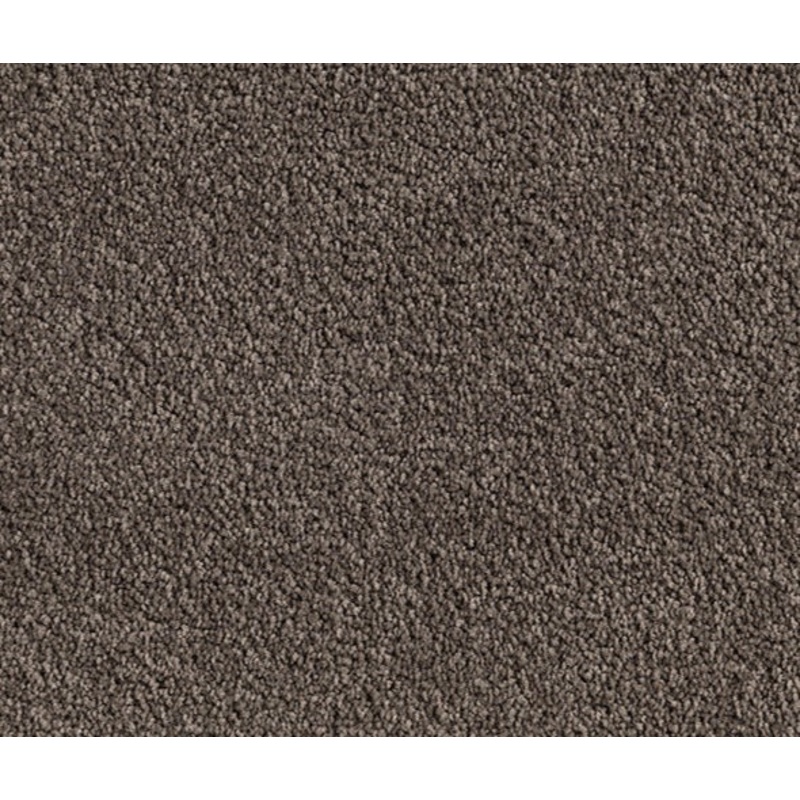 Cedar Summit Nylon Carpet (CQ1)