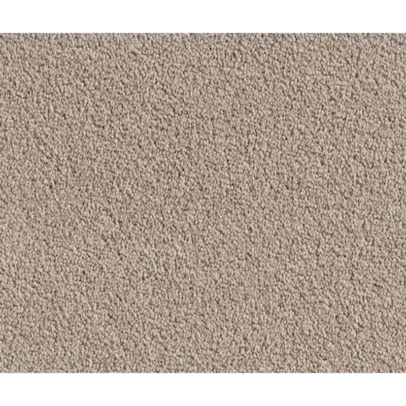 Whippet Wonders Nylon Carpet (CQ24)