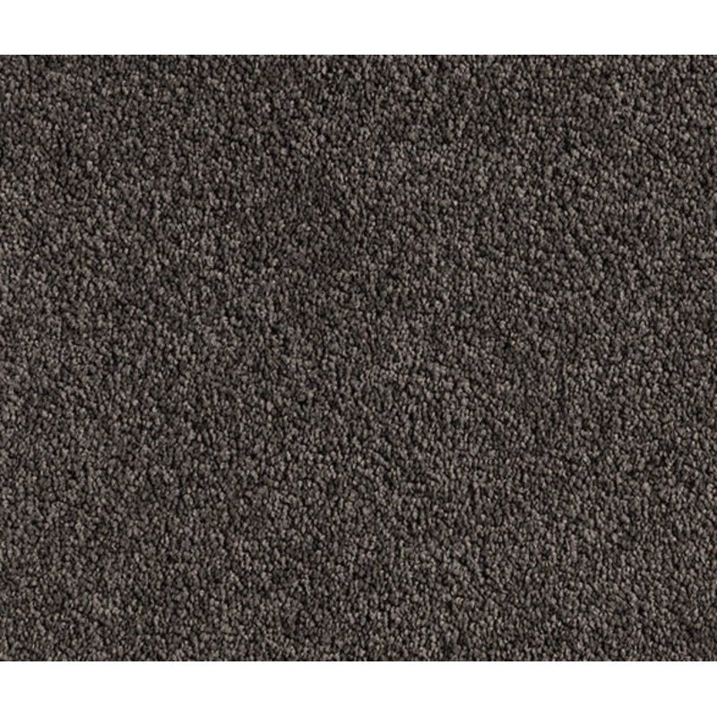 Winding Journey Nylon Carpet (CQ26)