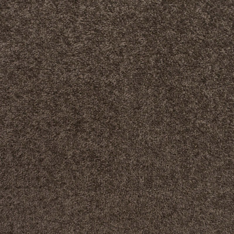 Dark Grey Brown Belton Felt Back Twist Carpet