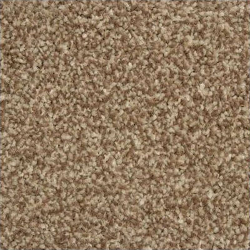 Beaver Primo Ultra Carpet|2.00m|2.25m|2.50m|2.75m|3.00m|3.25m|3.50m|3.75m|4.00m|4.25m|4.50m|4.75m|5.00m|5.25m|5.50m|5.75m|6.00m|6.25m|6.50m|6.75m|7.00m|7.25m|7.50m|7.75m|8.00m|8.25m|8.50m|8.75m|9.00m|9.25m|9.50m|9.75m|10.00m|Free Sample|4m|5m