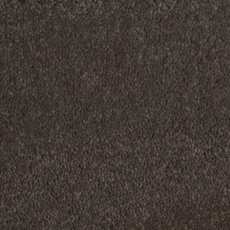 Tennessee Grey Carpet