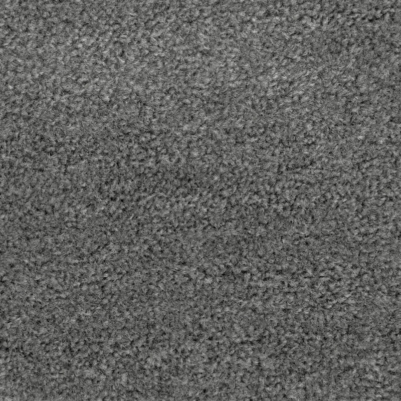 Sands Platinum Carpet Flooring