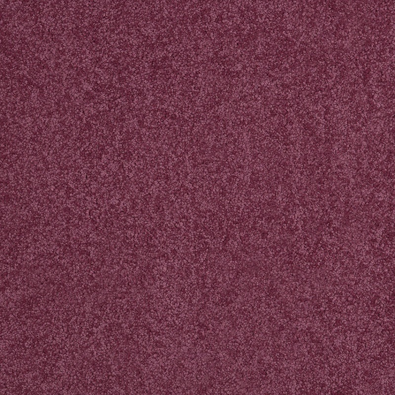 Tennessee Saxony Thick Purple Carpet