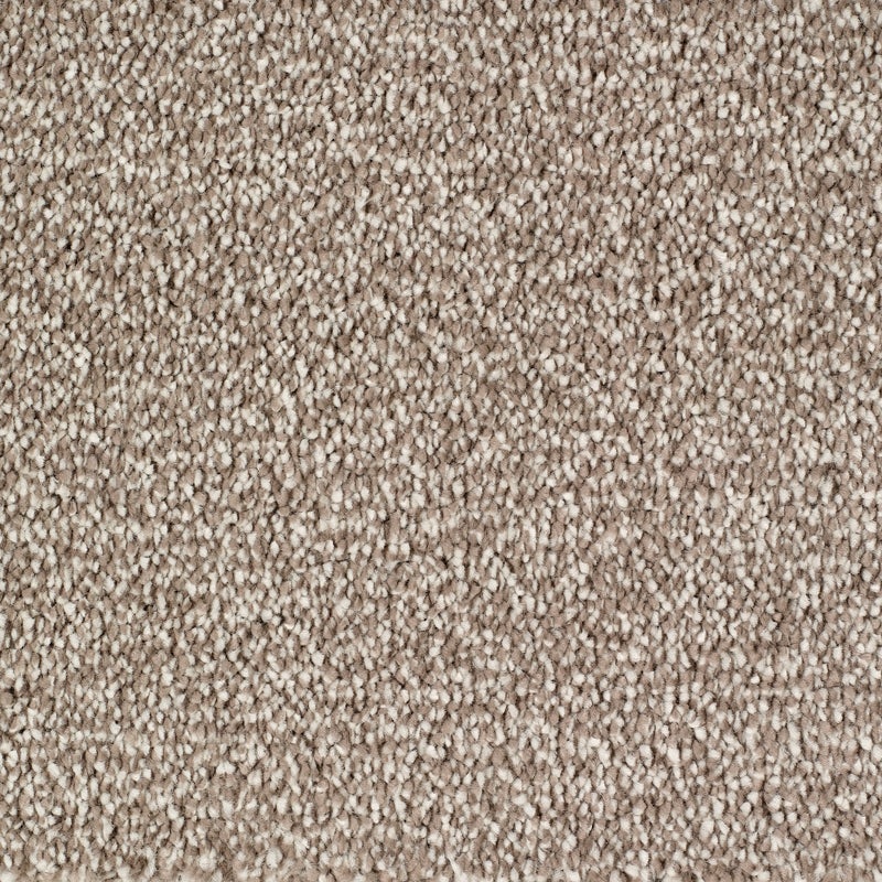 Compton Beige Carpet