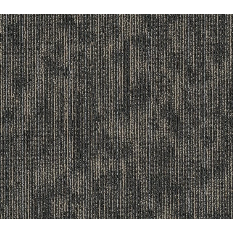 Philadelphia Commercial – Shared Force – Enthusiastic – Carpet Tile