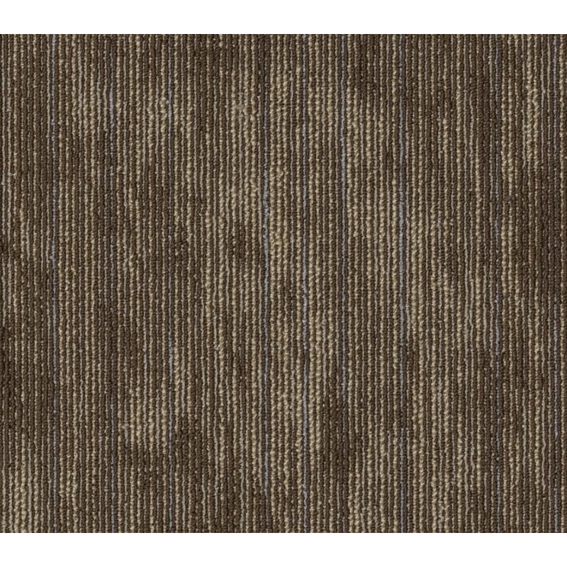 Philadelphia Commercial – Shared Force – Vigorous – Carpet Tile Box